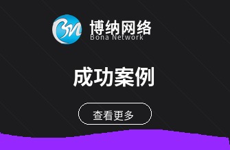 成功案例
